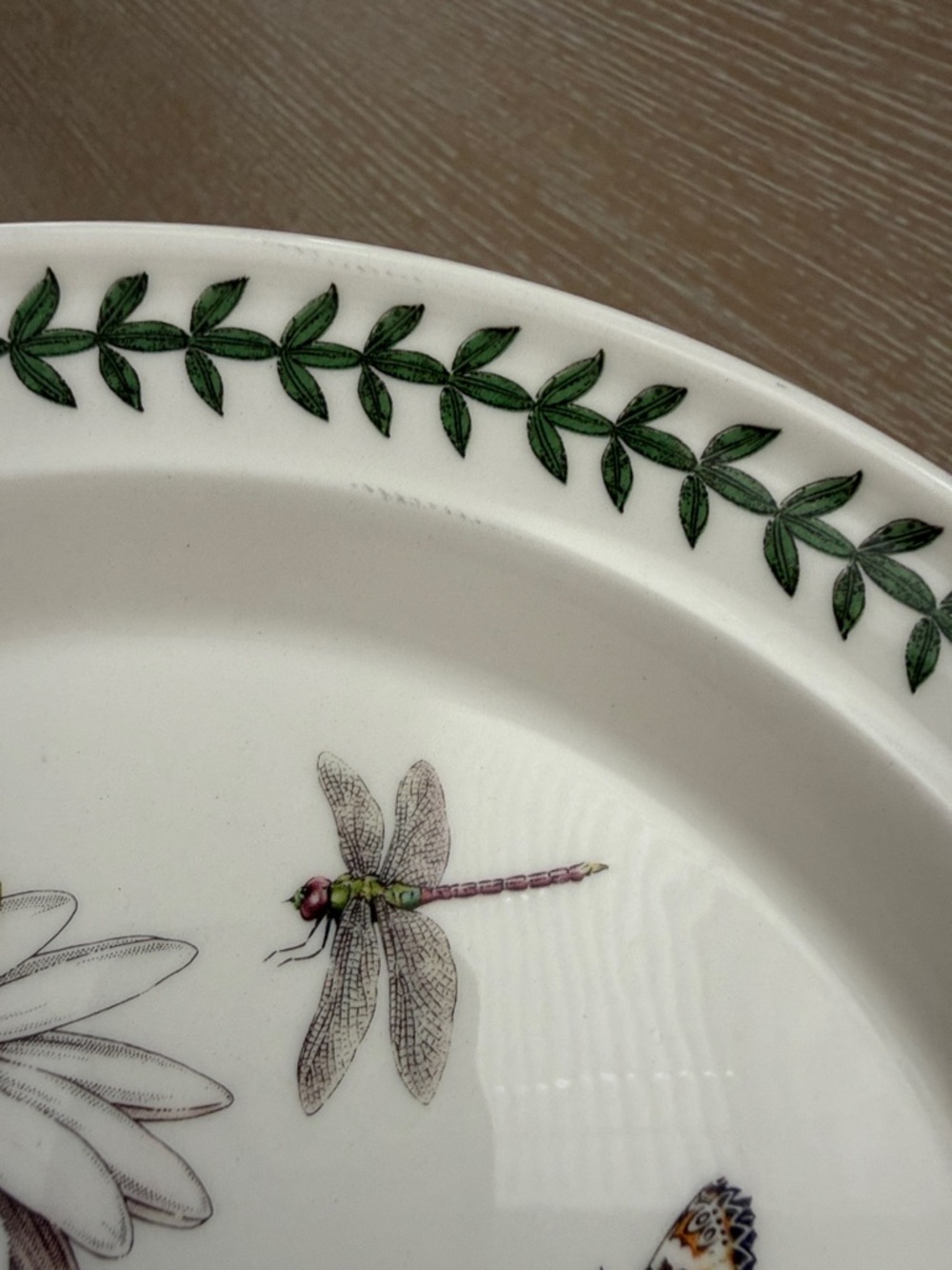 Botanic Garden Exotic Botanic Garden 10.5” Plate with White Water Lily Motif 2pc - Picture 9 of 12